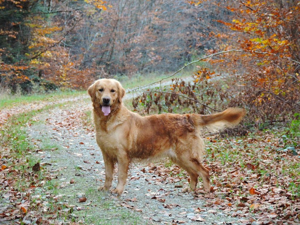 Ricotta Elixir d'Aydoilles