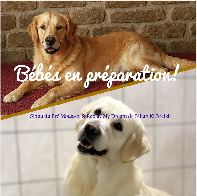 Des bébés arrivent en Novembre 